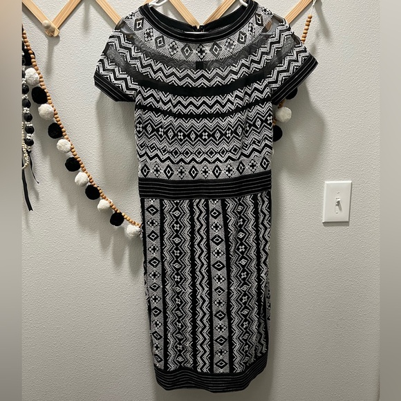 Tadashi Shoji Embroidered Dress - Picture 1 of 4